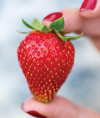 VibeX Strawberry Seed(60 per packet)