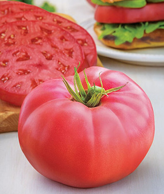 VibeX F1 Tomato, Medium Rare Hybrid Seed(120 per packet)