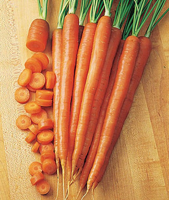 VibeX Carrot Hybrid Seed(120 per packet)