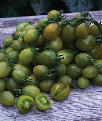 VibeX Tomato Seed(120 per packet)