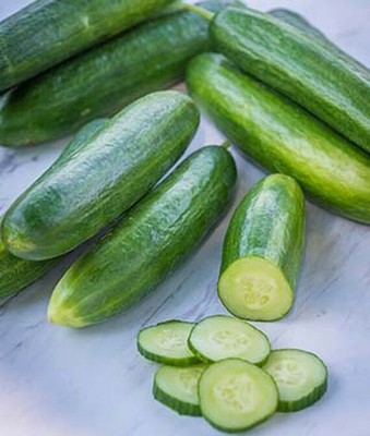 VibeX Lunchbox Organic Cucumber Seed(120 per packet)