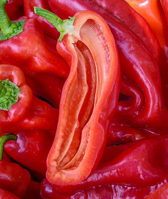 VibeX Pepper, Sweet, PeppiGrande Red Hybrid Seed(120 per packet)