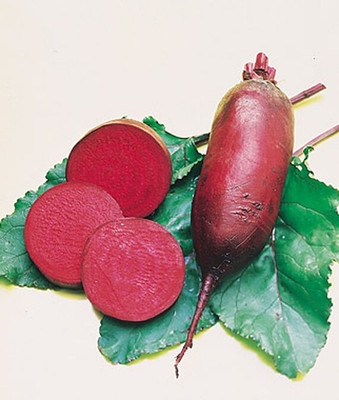 VibeX Organic Beetroot, Cylindra Seed(120 per packet)