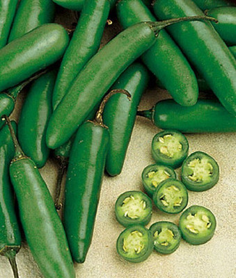 VibeX Chili Pepper Seed(120 per packet)