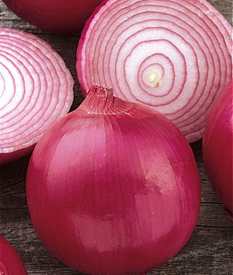 VibeX Onion, Red Creole Seed(120 per packet)