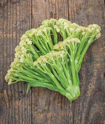 VibeX Cauliflower Seed(120 per packet)
