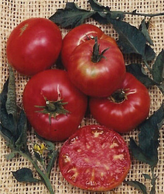 VibeX Tomato Seed(120 per packet)