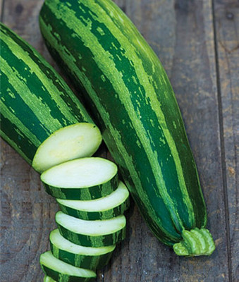 VibeX Green Tiger Zucchini Hybrid Squash Seed(50 per packet)