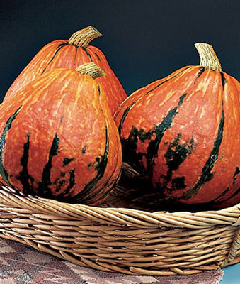 VibeX Squash Seed(50 per packet)