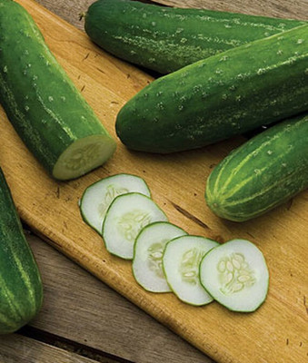 VibeX Cucumber Seed(120 per packet)