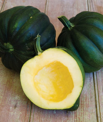 VibeX Squash Seed(50 per packet)