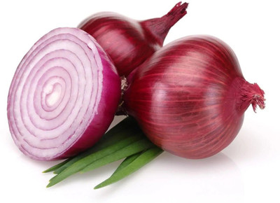 seedagro Onion Seed(245 per packet)