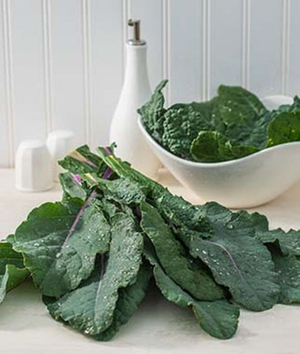 VibeX Dazzling Blue Kale Seed(120 per packet)
