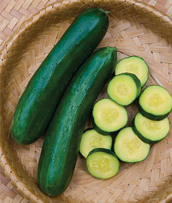 VibeX Cucumber Seed(120 per packet)