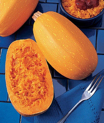 VibeX Squash Seed(50 per packet)