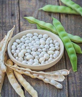 VibeX Lazy Housewife Pole Bean Seed(75 per packet)