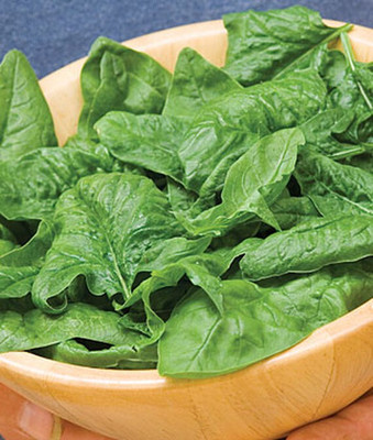 VibeX Spinach Seed(120 per packet)