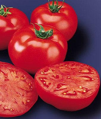 VibeX Tomato Seed(120 per packet)