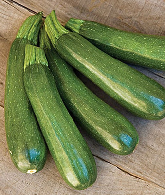 VibeX Organic Squash Fordhook Zucchini Seed(50 per packet)