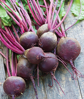 VibeX Moulin Rouge Beetroot Seed(120 per packet)