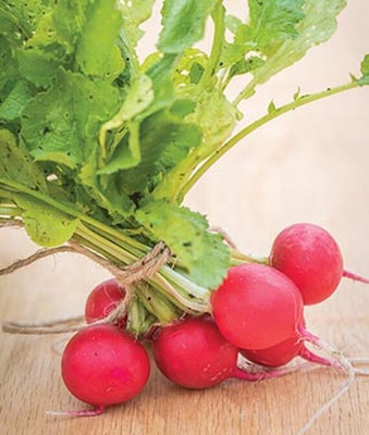 VibeX Radish Seed(120 per packet)