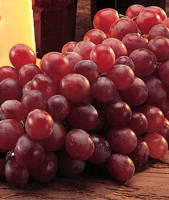 VibeX Grape, Reliance Seedless Seed(30 per packet)