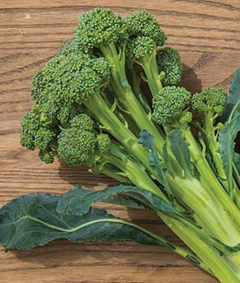 VibeX Broccoli Seed(120 per packet)
