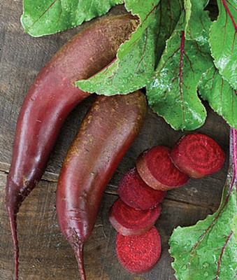 VibeX Beetroot, Cylindra Seed(120 per packet)