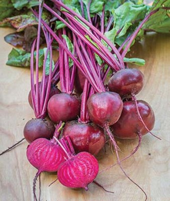 VibeX Mono Round Red Beetroot Seed(120 per packet)