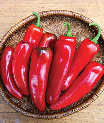VibeX Hot Born to be Mild Hybrid Pepper Seed(120 per packet)