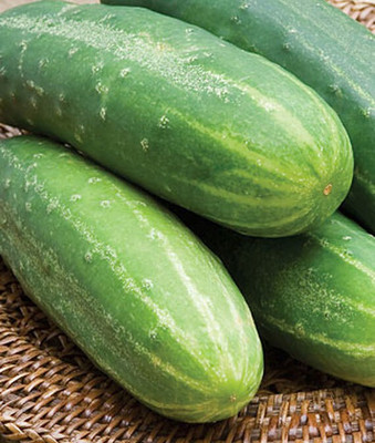 VibeX Cucumber Seed(120 per packet)
