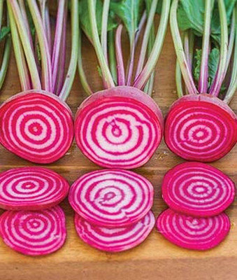 VibeX Hybrid Chioggia Beetroot Seed(120 per packet)