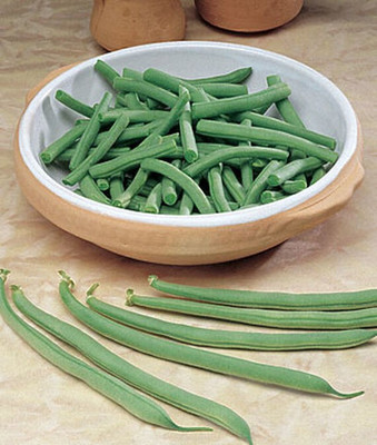 VibeX Bean, Fin de Bagnol Seed(75 per packet)