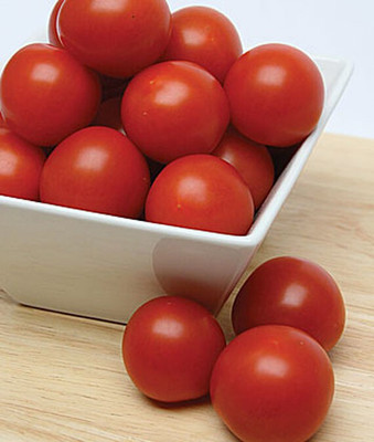 VibeX Organic Mountain Magic Hybrid Tomato Seed(120 per packet)