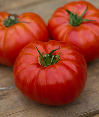 VibeX Tomato Seed(120 per packet)