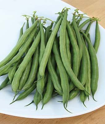 VibeX French Filet Stringless Bush Bean Seed(75 per packet)