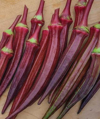 VibeX Organic Burgundy Okra Seed(120 per packet)