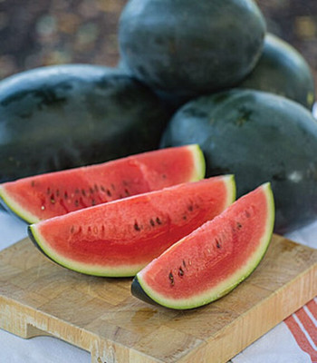 VibeX Watermelon Seed(50 per packet)
