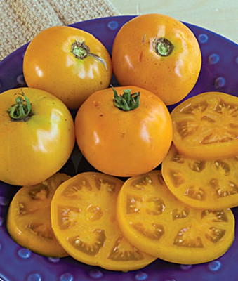 VibeX Sweet Tangerine Hybrid Tomato Seed(120 per packet)