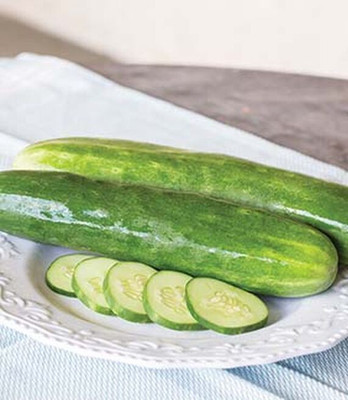 VibeX Cucumber Seed(120 per packet)