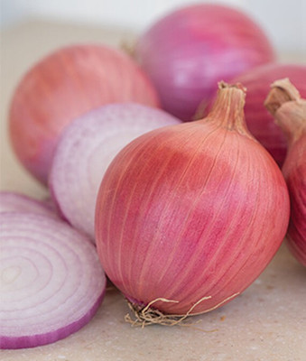 VibeX Organic Onion Blush Hybrid Seed(120 per packet)