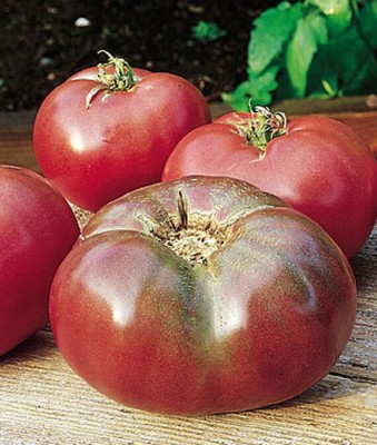 VibeX Tomato, Cherokee Purple Heirloom Organic Seed(120 per packet)