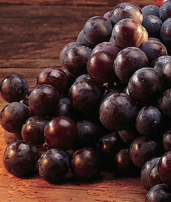 VibeX Grape, Concord Seed(30 per packet)