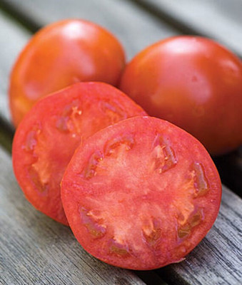 VibeX Tomato Seed(120 per packet)