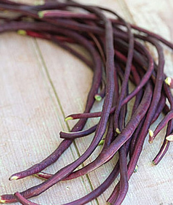 VibeX Bean, Pole, Trionfo Violetto Seed(75 per packet)