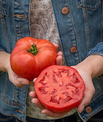 VibeX Tomato Seed(120 per packet)