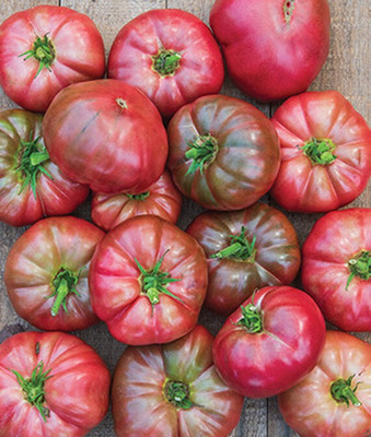 VibeX Tomato Seed(120 per packet)