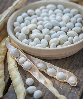 VibeX Bean, Pole, Lazy Housewife Seed(75 per packet)