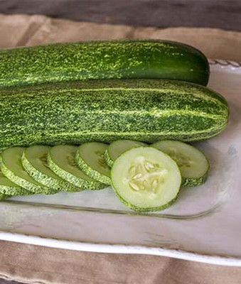 VibeX Cucumber Seed(120 per packet)