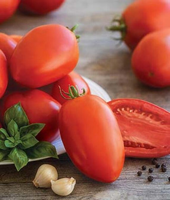 VibeX Tomato Seed(120 per packet)